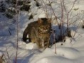 /album/fotogaleria/mix-120-jpg/